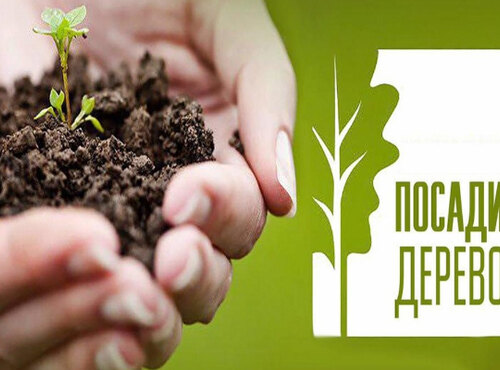 "Посади дерево - врятуй планету"
