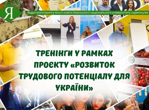 Тренінги у рамках проєкту «Розвиток трудового потенціалу для України»