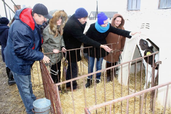 Менеджери вивчають досвід виробництва тваринницької продукції у ДП «Умань-Агро» Христинівського району Черкаської області