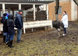 Менеджери вивчають досвід виробництва тваринницької продукції у ДП «Умань-Агро» Христинівського району Черкаської області