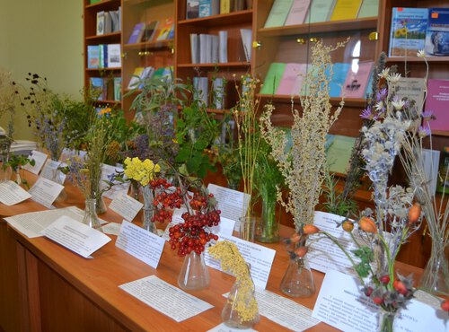 Лікарські рослини–ботанічна характеристика та їх використання у фітофармакології і озелененні