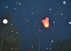 Запуск ліхтариків-сердець у вечірнє небо Умані